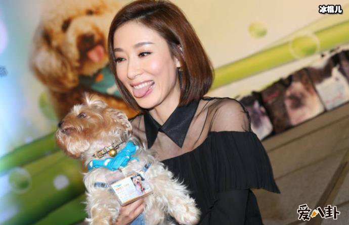 杨怡多少岁了? 与姐姐杨卓娜对比照太像了