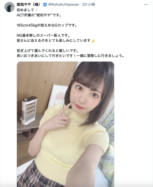 G乳大型新人现身!那只「鳩」的真面目是?
