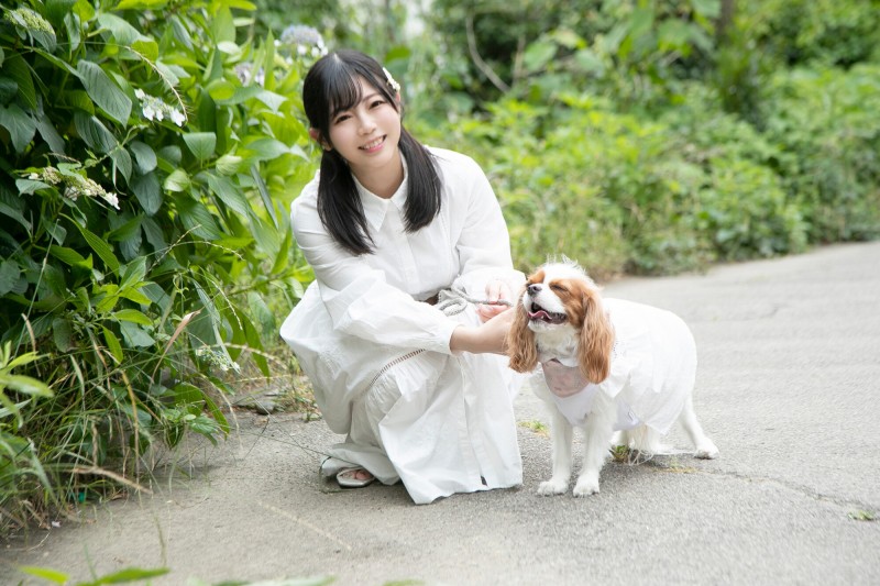 失去了恵比寿マスカッツ(惠比寿麝香葡萄)后、羽咲みはる(羽咲美晴)AV引退!