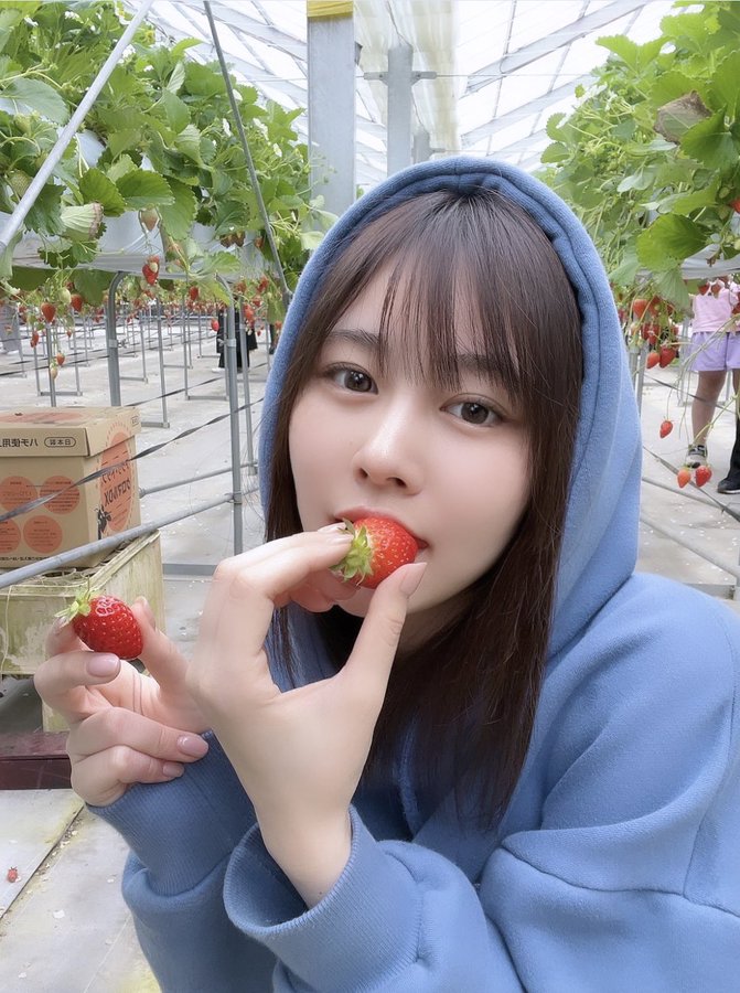 川北梅莎(川北メイサ)以泽北南(沢北みなみ)名义发售的作品番号及封面,川北梅莎个人简介