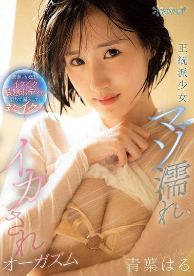 CAWD-878,青叶はる(青叶春)最新作品2025/10/02发布!