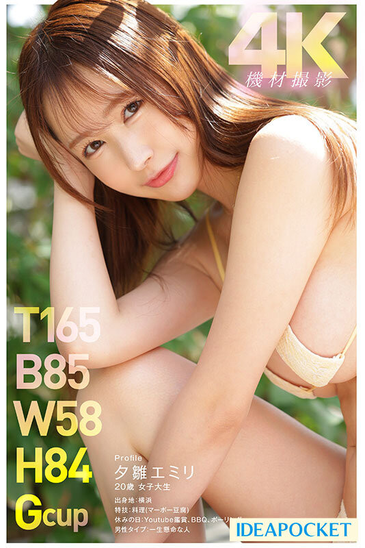夕雏惠美里(夕雛エミリ)出道作品番号及封面,夕雏惠美里个人简介